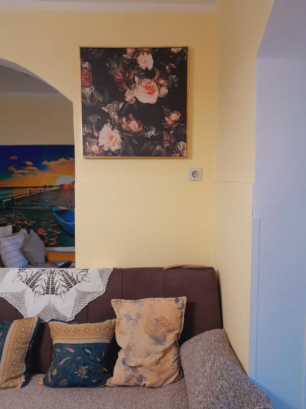 Apartman Radoman 采蒂涅 外观 照片