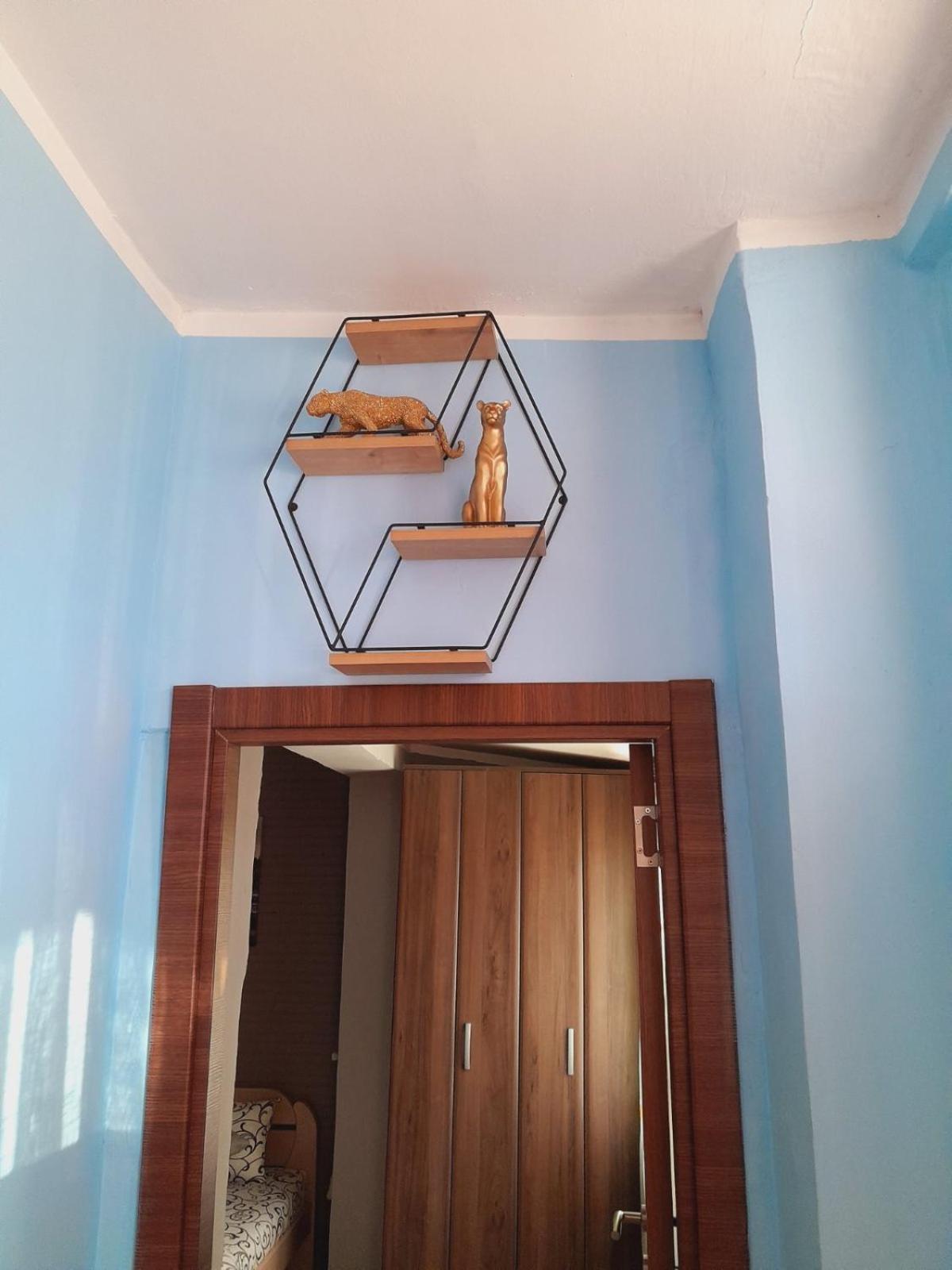 Apartman Radoman 采蒂涅 外观 照片